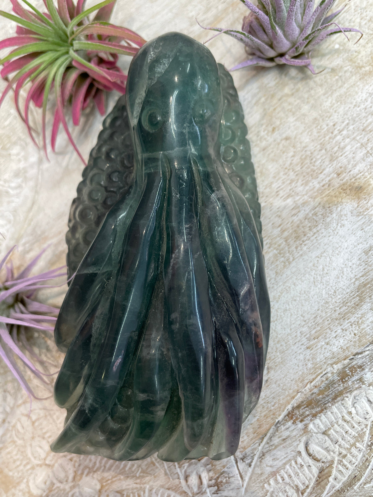 Fluorite Octupus