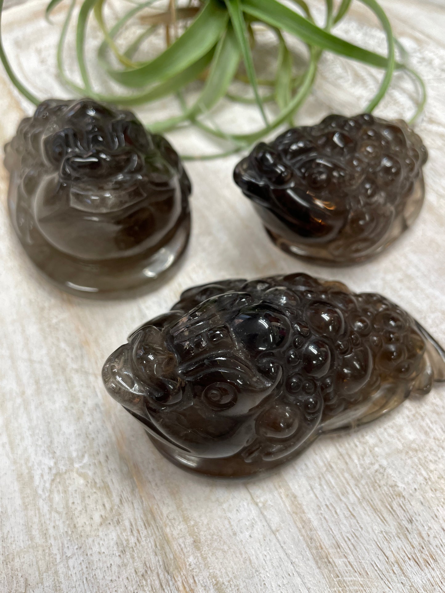 Smoky Quartz Money Toad