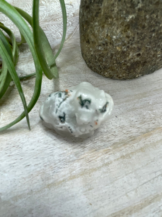 Moss Agate Money Toad