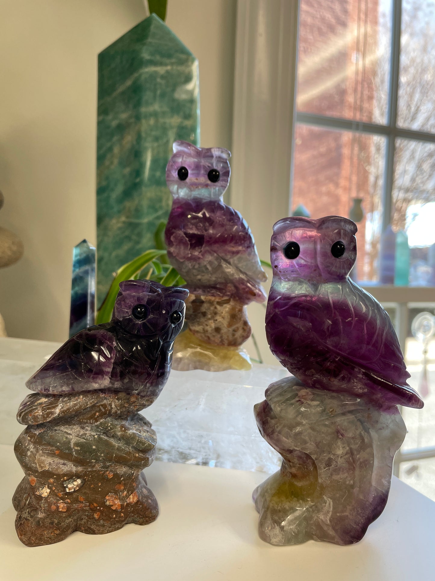 Fluorite Owl