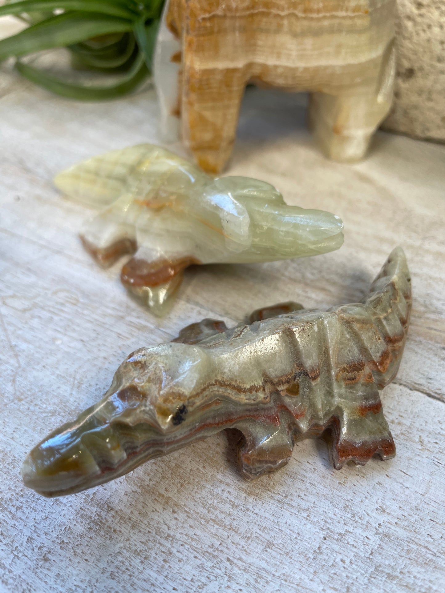 Onyx Animals