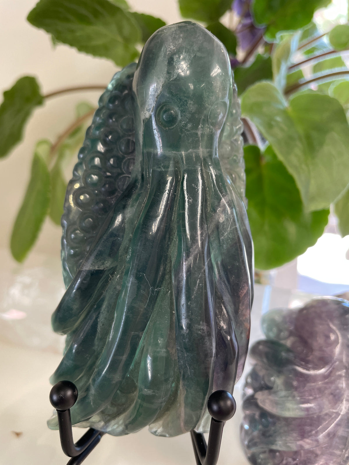 Fluorite Octupus